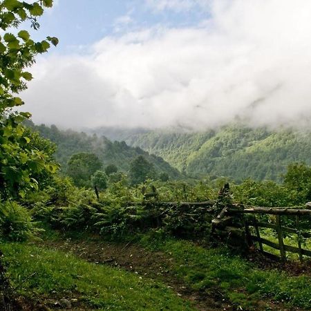 Apto. De Montana La Campa En Felechosa Exteriér fotografie