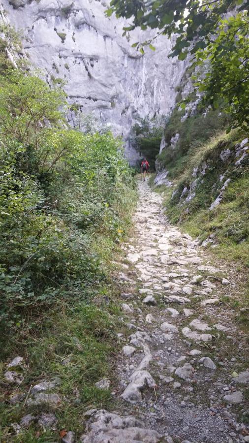 Apto. De Montana La Campa En Felechosa Exteriér fotografie