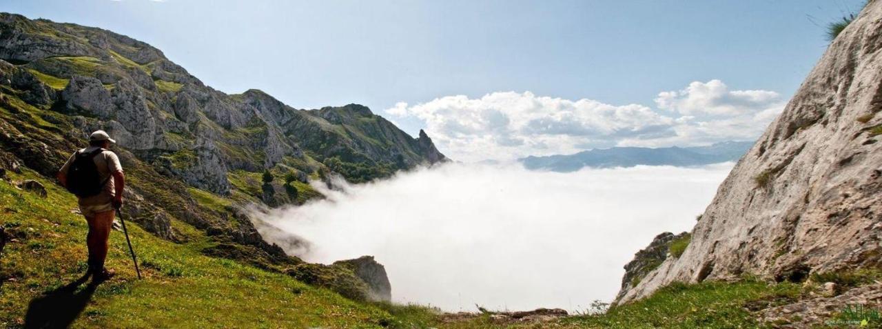 Apto. De Montana La Campa En Felechosa Exteriér fotografie